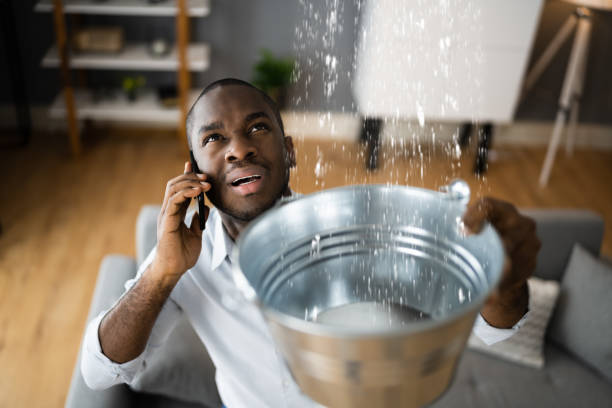 Best 24-hour water damage restoration  in Short Hills, NJ