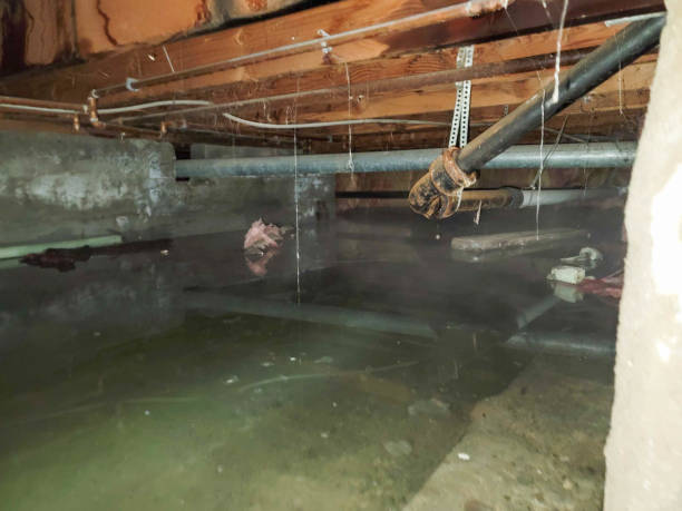 Water damage restoration insurance claims in NJ