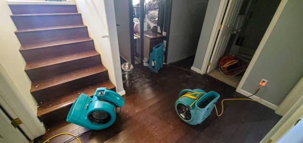 Best Carpet water damage restoration  in Short Hills, NJ