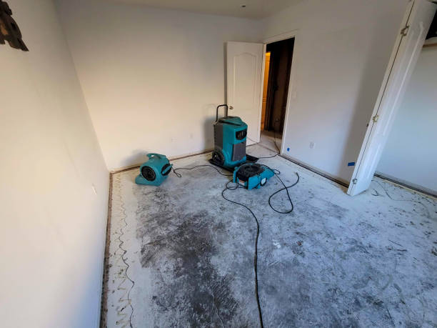 Best Flood restoration services  in Short Hills, NJ
