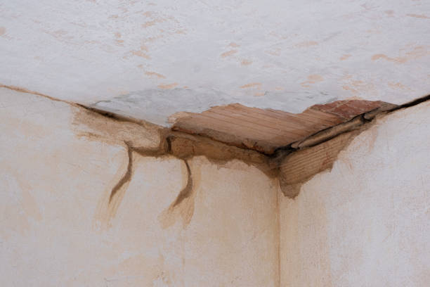 Best Water damage contractors near me  in Short Hills, NJ