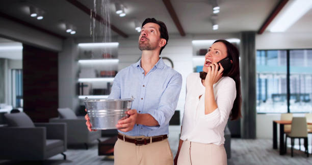 Best Water damage contractors near me  in Short Hills, NJ