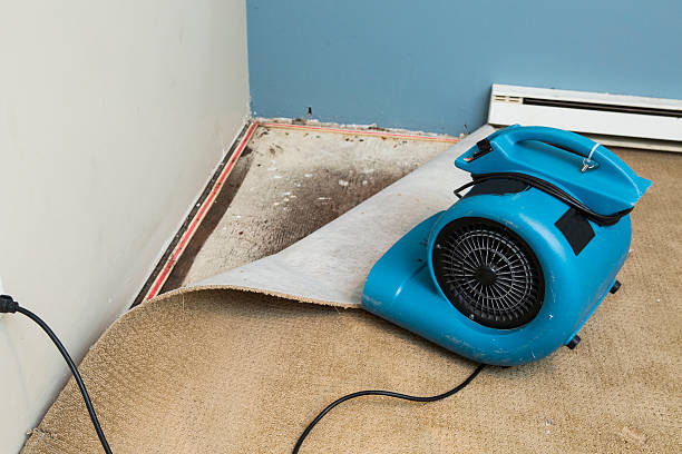 Best 24-hour water damage restoration  in Short Hills, NJ